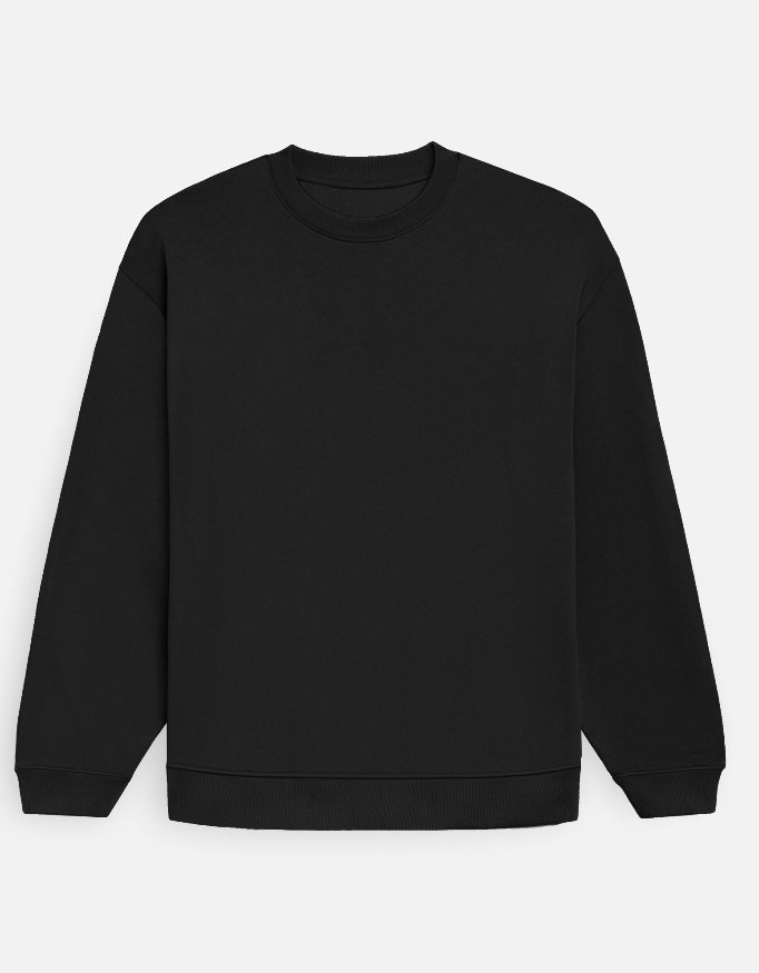 img_a9d83c96134b20.jpg The Heavyweight Crewneck