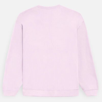 img_cbb9d7458db8a7.jpg The Heavyweight Crewneck